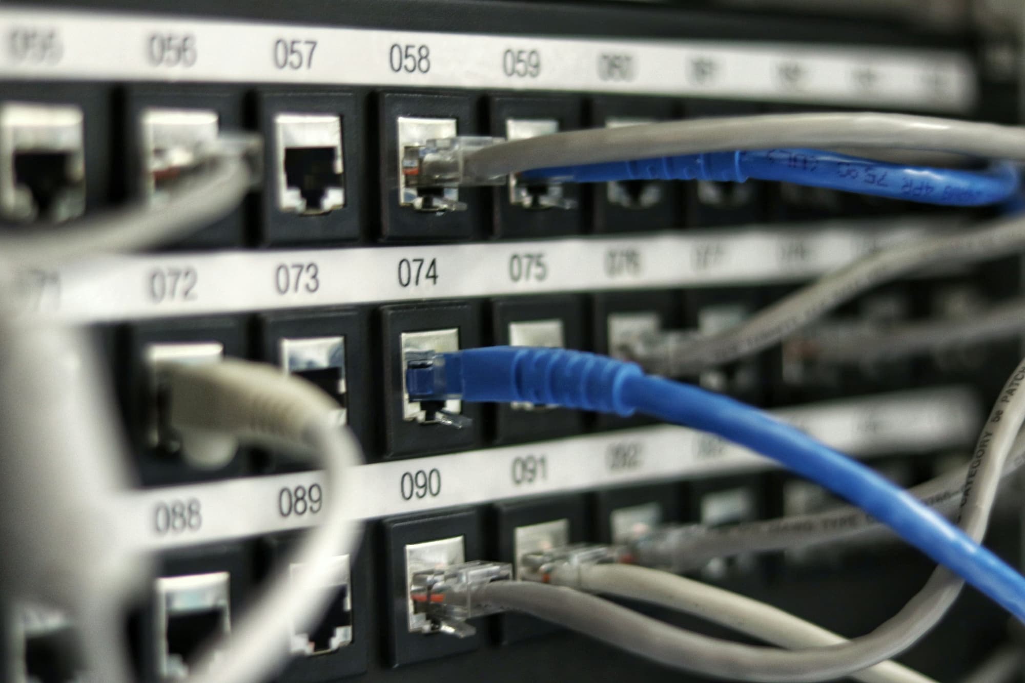 Network cables connected to a patch panel